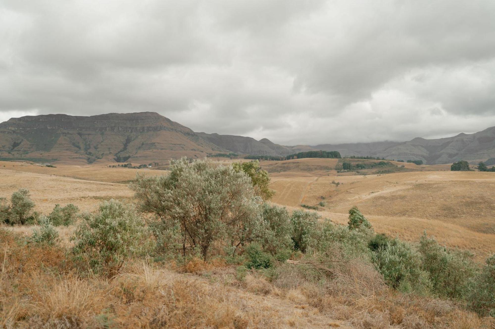 Dragonview Lodge Champagne Valley Bagian luar foto